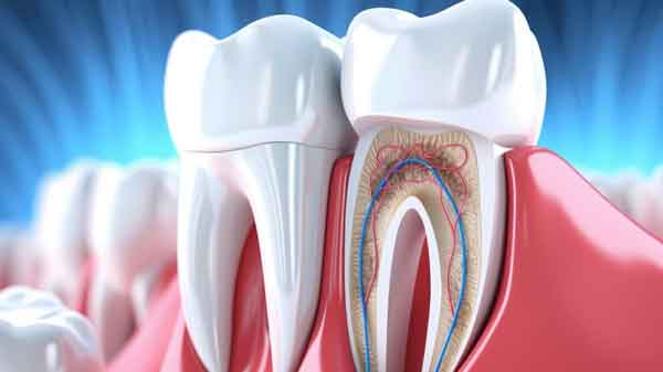 نکات لازم برای مراقبت کامل از ریشه دندان ها