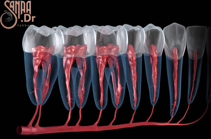 عکس سه بعدی که ریشه های دندان را نشان می دهد